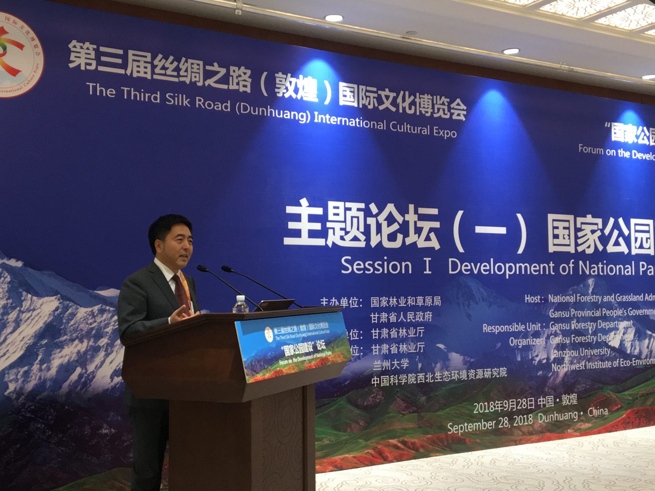 丁教授在第三届丝绸之路敦煌文博会打发言