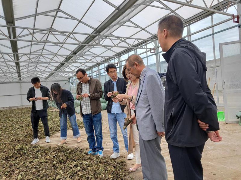 慧谷咨询团队赴各市州开展《甘肃省“十四五”特殊类型地区振兴规划》编制调研工作